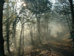 Pleasington, Blackburn. On a Cold November morning.