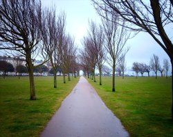 Path across the green at Southsea Terrace.

Taken:  26th March 2006 Wallpaper