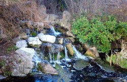 Waterfall at the Rock Gardens.

Taken:  10th April 2006 Wallpaper