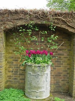 Flower pot. Wakehurst Place, West Sussex