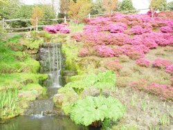 Waterfalls. Wakehurst Place Wallpaper