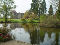 Pond. Wakehurst Place, West Sussex Wallpaper