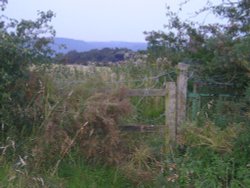 Fence to at the top of Helsby Hill. Wallpaper