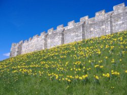 York City Walls in Spring. Wallpaper