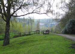 Looking from Shipley Hill towards the 'American Adventure' Theme Park Wallpaper