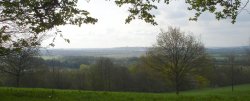 Looking towards Ilkeston from Shipley Hill, Shipley Country Park, Derbyshire Wallpaper