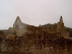 The ruines of Tintern Abbey - South Wales. Picture taken July 2003 Wallpaper