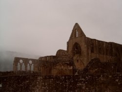 The ruines of Tintern Abbey - South Wales. Picture taken July 2003 Wallpaper