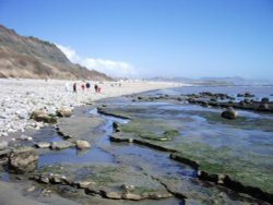 Monmouth Beach at Lyme Regis, Dorset. Wallpaper