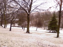 Peel Park ....Bradford,West Yorkshire Wallpaper