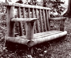 Bench in Stourhead Garden Wallpaper