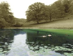 Stourhead Garden Wallpaper