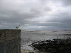 Lyme Regis, Dorset Wallpaper