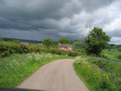 Dalwood, Devon. Extremely narrow & very pretty country lanes near to the village. Wallpaper