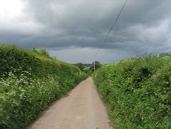 Country lanes near Dalwood Wallpaper