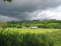 Dalwood, Devon. A Country farm Wallpaper