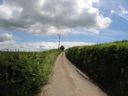 Dalwood, Devon. Country lanes near to the village Wallpaper