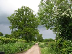 Dalwood, Devon. Country lanes near to the village Wallpaper