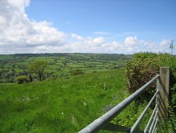 Devon Countryside, near the village of Dalwood