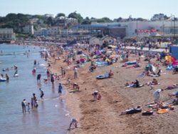 The Harbour, Paignton, Devon. Wallpaper