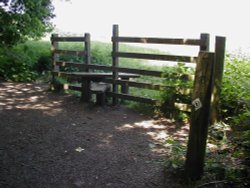 Hartshill Hayes Country Park, Nr Atherstone, North Warwickshire. Wallpaper