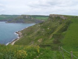 Coastal footpath between Swanage and Kimmeridge, Dorset in May.  Very steep, but beautiful. Wallpaper