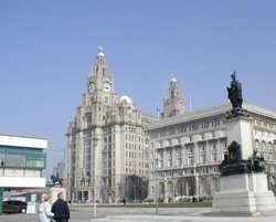 Liverpool: The Liver Building Wallpaper