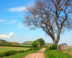 a country road on the way to Hethpool, Northumberland. Wallpaper