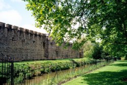 Cardiff Castle - view from Bute Park Wallpaper