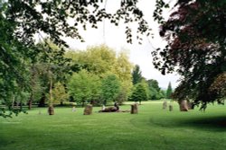 Bute Park in Cardiff Wallpaper