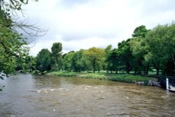 River Taff and Bute Park in Cardiff Wallpaper