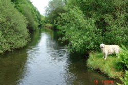 River near Meltham...Huddersfield, West Yorkshire, with 