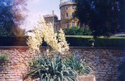 Belvoir Castle, The Gardens, Leicestershire, Wallpaper