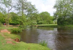 River at Balmer Lawn, New Forest, Hampshire Wallpaper