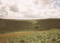 Dartmoor National Park Wallpaper