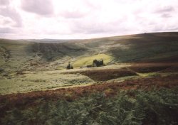 Dartmoor National Park Wallpaper