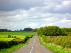 Country road in Upper Coquetdale, Northumberland.