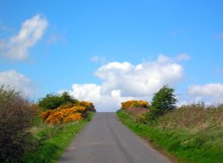 Country road near Glanton Pyke, Northumberland.