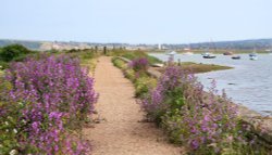 Keyhaven, Hampshire Wallpaper