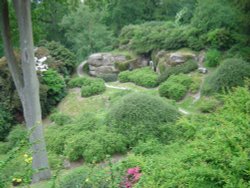 Wakehurst Place Wallpaper