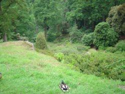 Wakehurst Place Wallpaper