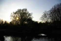 Duck Pond, Swan Meadow, Saffron Walden, Essex Wallpaper