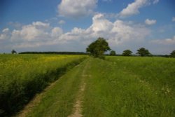 Countryside near Saffron Walden, Essex Wallpaper