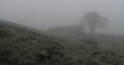 Top Withens near Haworth, The West Riding Wallpaper