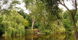 Idyllic Riverside, Shrewsbury Wallpaper