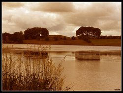 Talkin Tarn Country Park Wallpaper