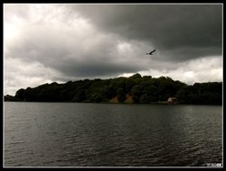 Talkin Tarn Country Park Wallpaper