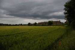 Countryside near Saffron Walden, Essex Wallpaper