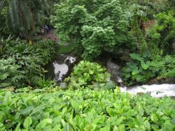 The Waterfall in the Tropical Zone, Eden Project Wallpaper