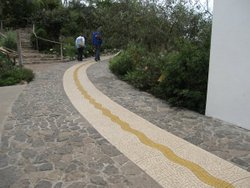 Path in the Temporate Zone, Eden Project Wallpaper